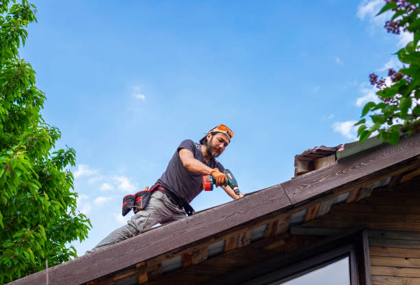 Best Roof Moss and Algae Removal  in Middletown, DE