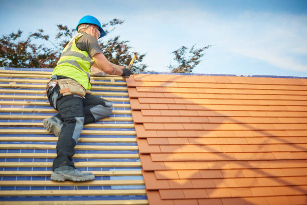 Best Solar Panel Roofing Installation  in Middletown, DE
